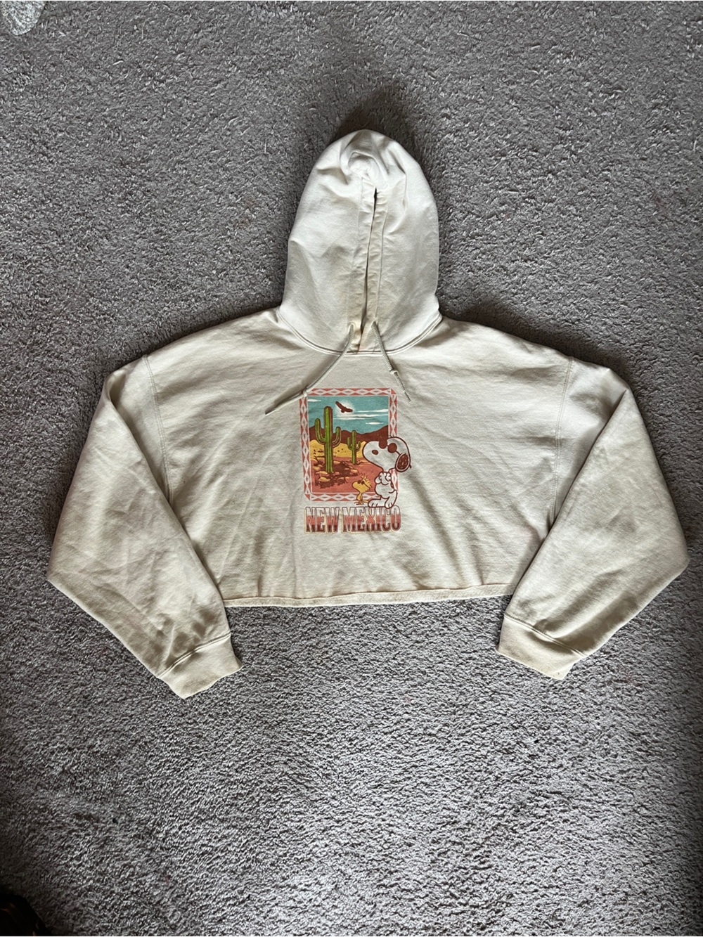 Peanuts Cream Graphic Hoodie Sweatshirt with Multicolor Vintage Print